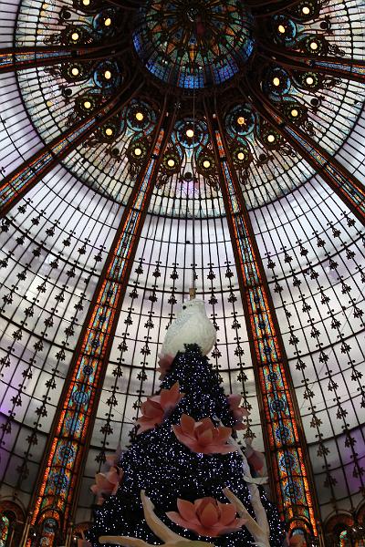 2013-12-30 Les vitrines de Noel 064.JPG